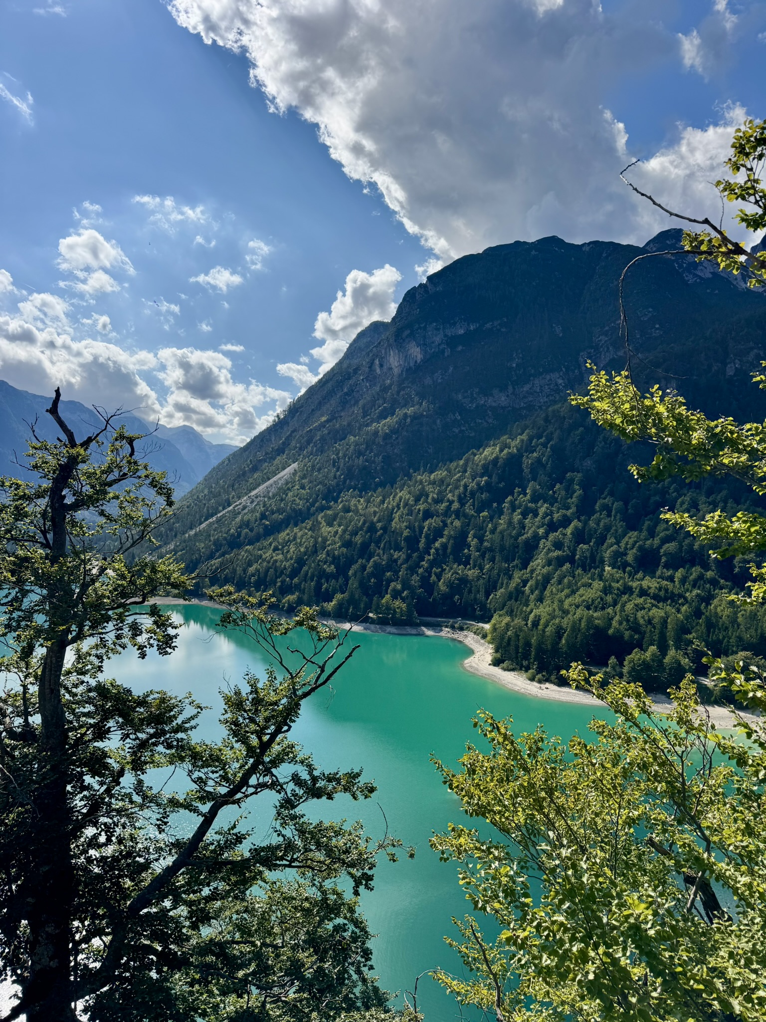 Sella Nevea in estate